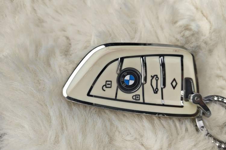 Used BMW X1 New Energy 2018 xDrive25Le Luxury Model Vehicle Key