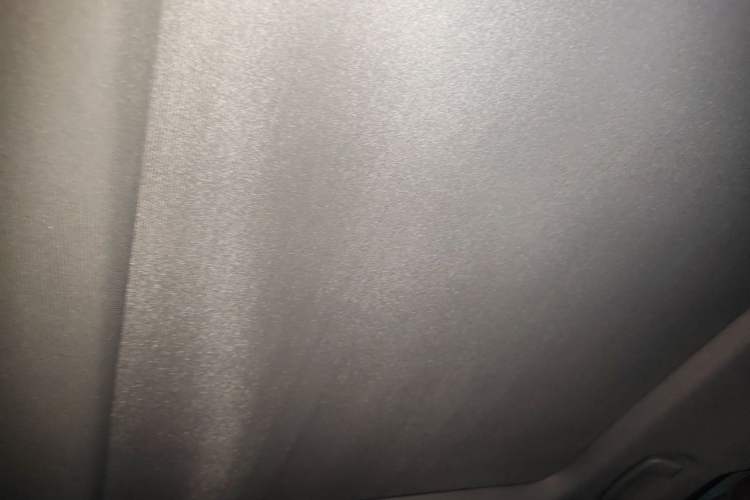 Used BMW X1 New Energy 2019 xDrive25Le Luxury Model Headliner