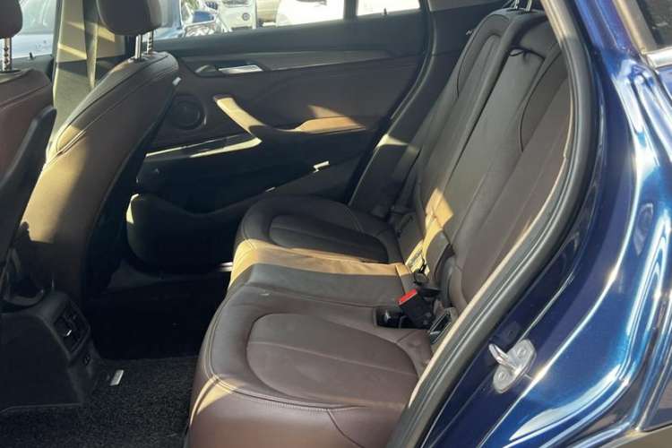 Used BMW X1 New Energy 2019 xDrive25Le Luxury Model Interior 6