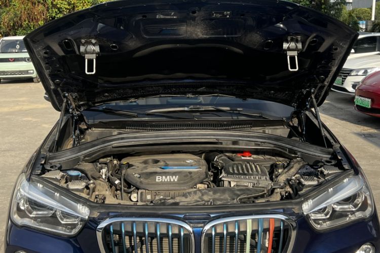 Used BMW X1 New Energy 2019 xDrive25Le Luxury Model Interior 8