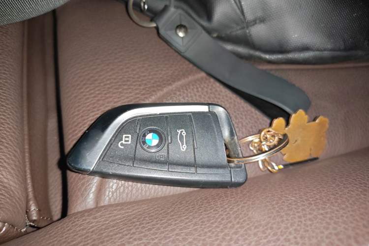 Used BMW X1 New Energy 2019 xDrive25Le Luxury Model Vehicle Key