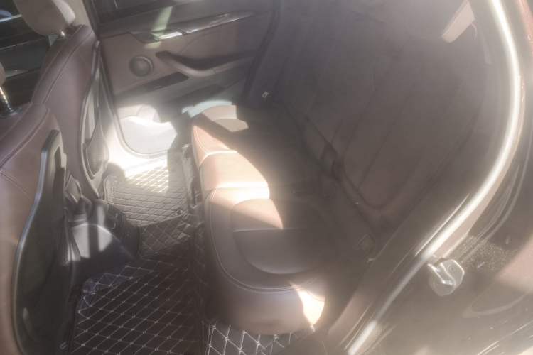 Used BMW X1 New Energy 2019 xDrive25Le Luxury Model Left Rear Seat