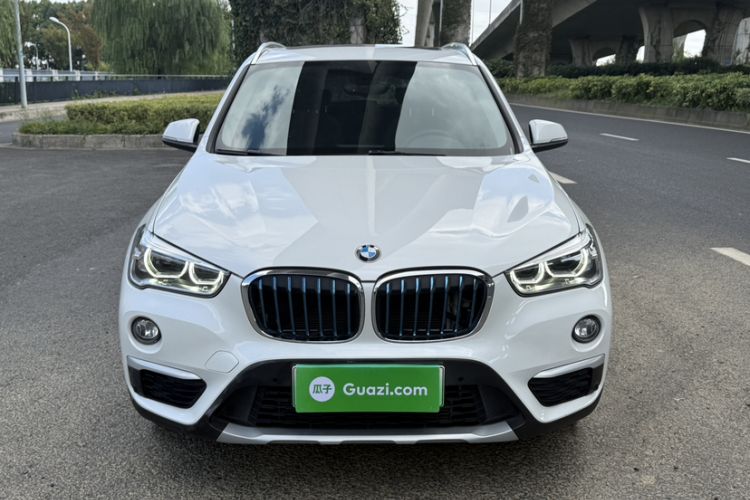 Used BMW X1 New Energy 2019 xDrive25Le Luxury Model Exterior 5