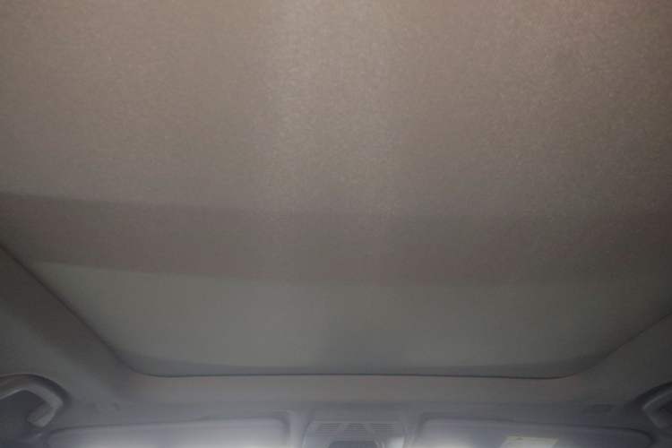 Used BMW X1 New Energy 2019 xDrive25Le Luxury Model Headliner