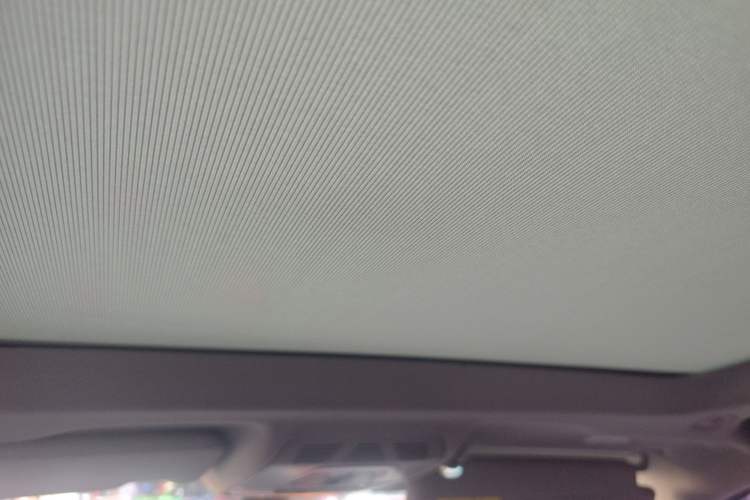 Used BMW X1 New Energy 2019 xDrive25Le Luxury Model Headliner