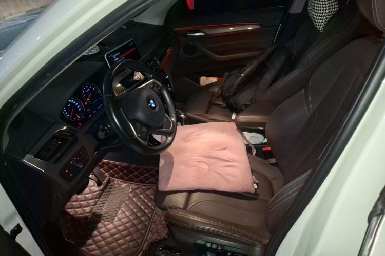 Used BMW X1 New Energy 2019 xDrive25Le Luxury Model Left Front Seat