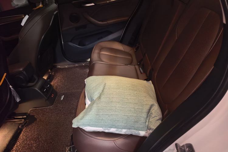 Used BMW X1 New Energy 2019 xDrive25Le Luxury Model Left Rear Seat