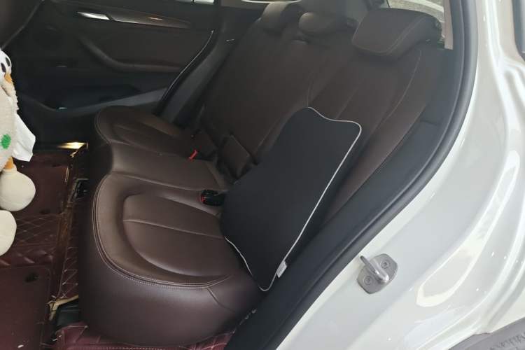 Used BMW X1 New Energy 2019 xDrive25Le Luxury Model Left Rear Seat