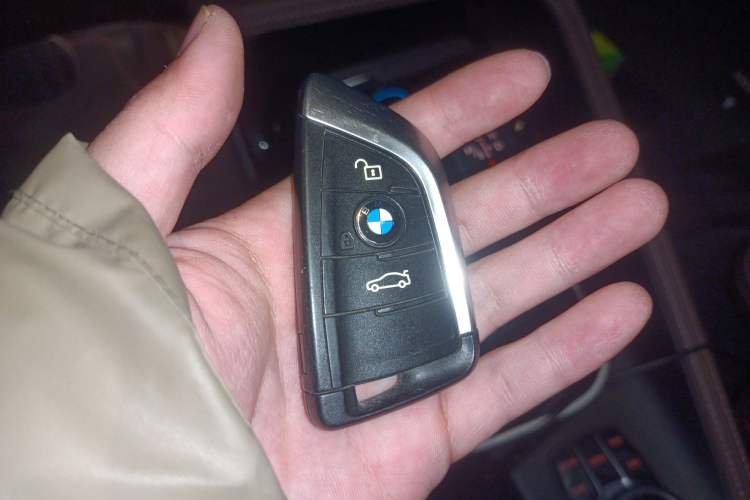 Used BMW X1 New Energy 2019 xDrive25Le Luxury Model Vehicle Key