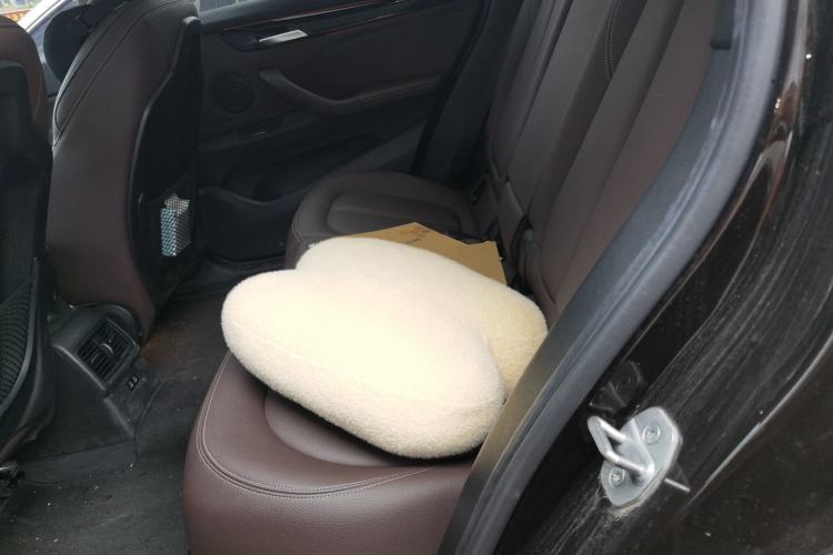 Used BMW X1 New Energy 2020 xDrive30Le Premium Edition Left Rear Seat