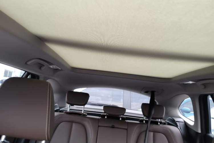 Used BMW X1 New Energy 2020 xDrive30Le Premium Edition Headliner