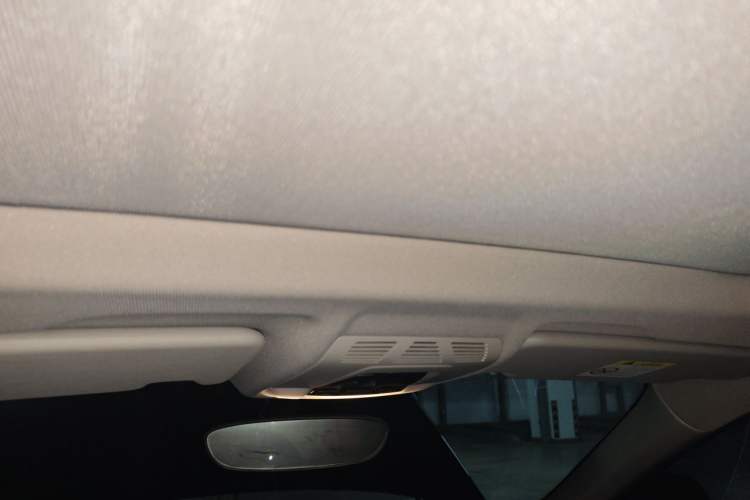 Used BMW X1 New Energy 2020 xDrive30Le Premium Edition Headliner