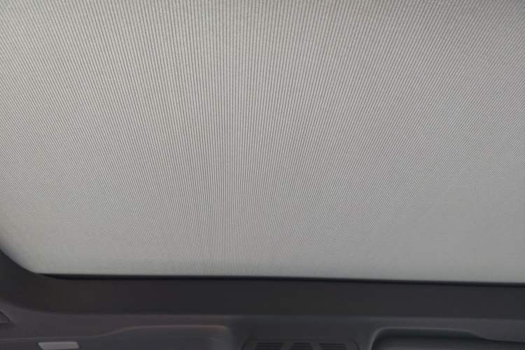 Used BMW X1 New Energy 2020 xDrive30Le Premium Edition Headliner