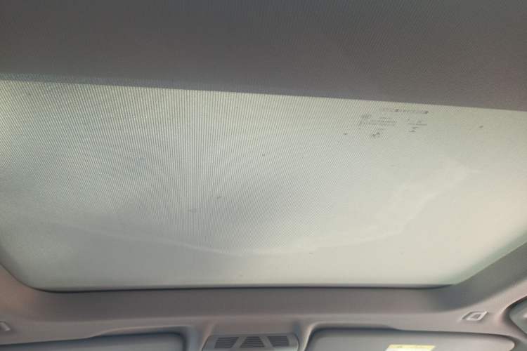 Used BMW X1 New Energy 2020 xDrive30Le Premium Edition Headliner