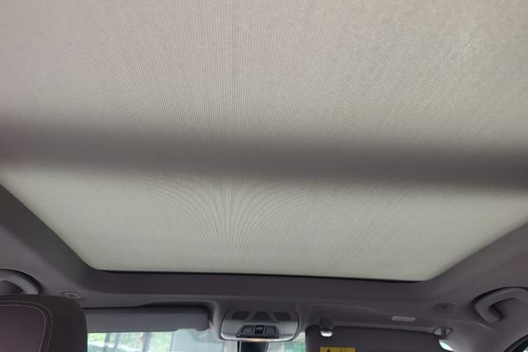 Used BMW X1 New Energy 2020 xDrive30Le Premium Edition Headliner