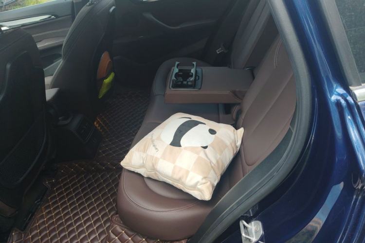 Used BMW X1 New Energy 2020 xDrive30Le Premium Edition Left Rear Seat