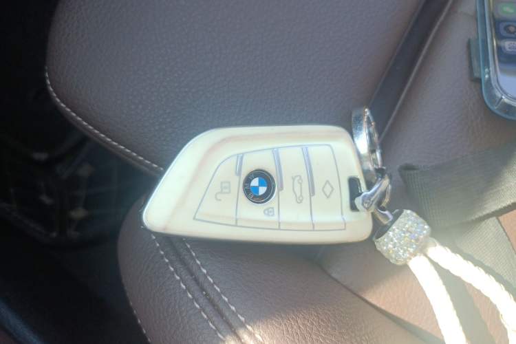 Used BMW X1 New Energy 2020 xDrive30Le Premium Edition Vehicle Key