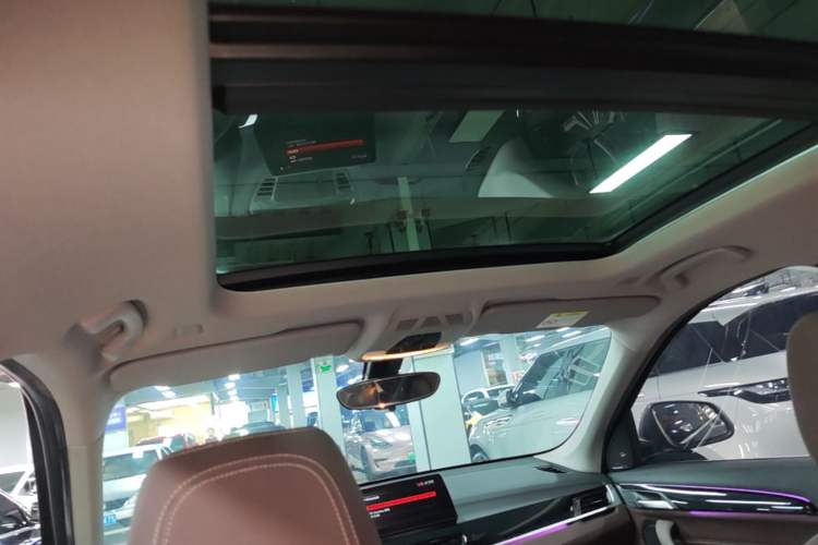 Used BMW X1 New Energy 2020 xDrive30Le Premium Edition Headliner