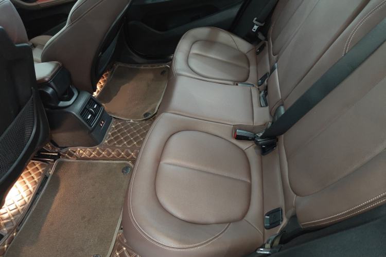 Used BMW X1 New Energy 2020 xDrive30Le Premium Edition Left Rear Seat