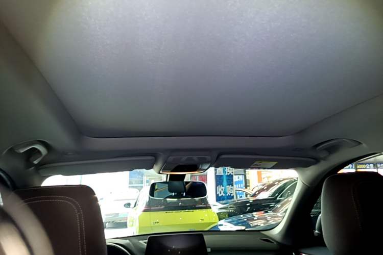 Used BMW X1 New Energy 2020 xDrive30Le Premium Edition Headliner