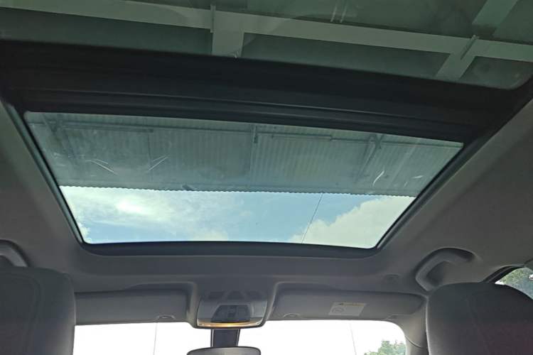Used BMW X1 New Energy 2020 xDrive30Le Premium Edition Headliner