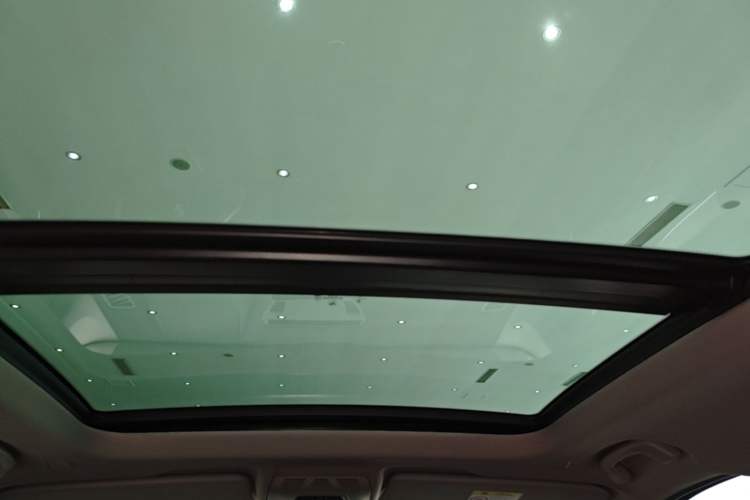 Used BMW X1 New Energy 2020 xDrive30Le Premium Edition Headliner