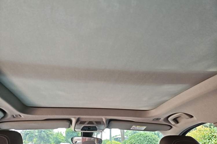 Used BMW X1 New Energy 2020 xDrive30Le Premium Edition Headliner