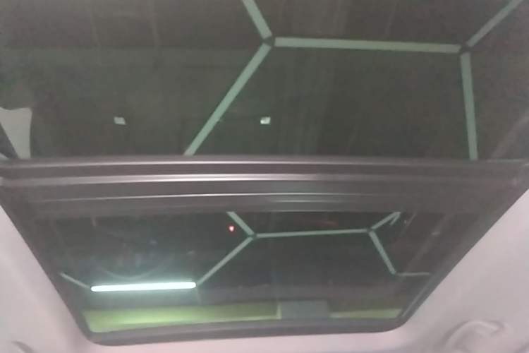 Used BMW X1 New Energy 2020 xDrive30Le Premium Edition Headliner
