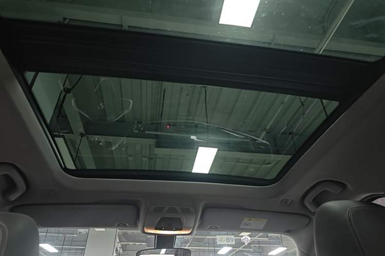 Used BMW X1 New Energy 2020 xDrive30Le Premium Edition Headliner