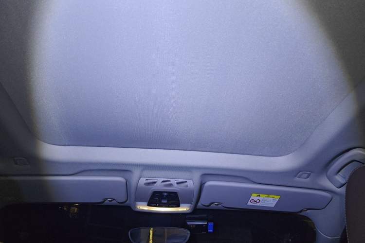 Used BMW X1 New Energy 2020 xDrive30Le Premium Edition Headliner