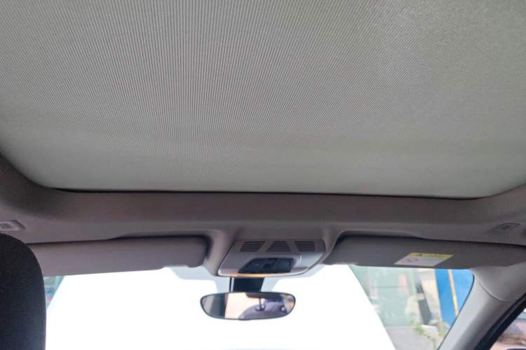 Used BMW X1 New Energy 2020 xDrive30Le Premium Edition Headliner
