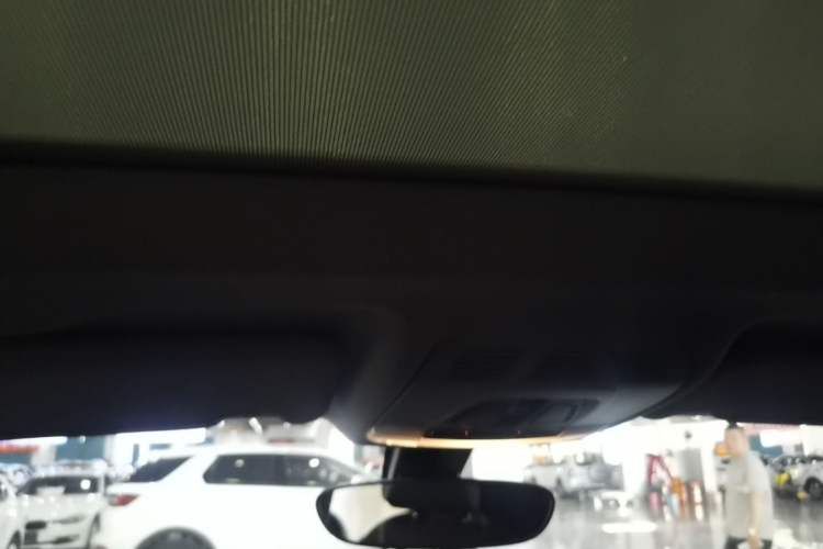 Used BMW X1 New Energy 2020 xDrive30Le Premium Edition Headliner