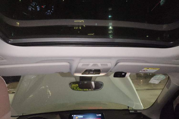 Used BMW X1 New Energy 2020 xDrive30Le Premium Edition Headliner