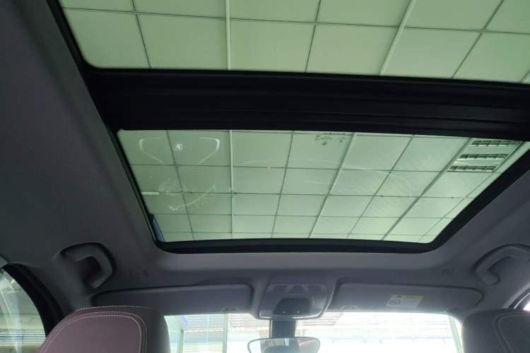 Used BMW X1 New Energy 2020 xDrive30Le Premium Edition Headliner