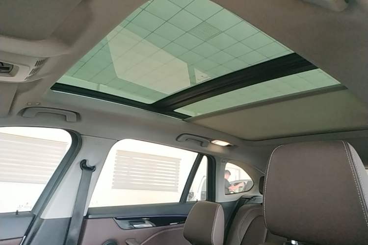 Used BMW X1 New Energy 2020 xDrive30Le Premium Edition Headliner