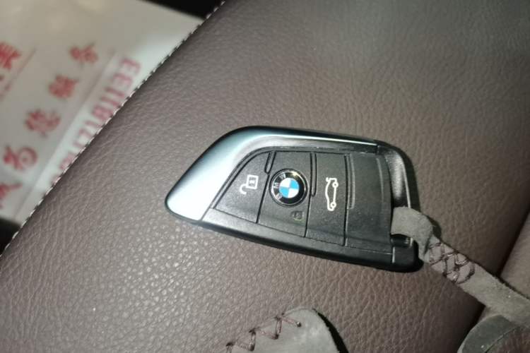 Used BMW X1 New Energy 2020 xDrive30Le Premium Edition Interior 1