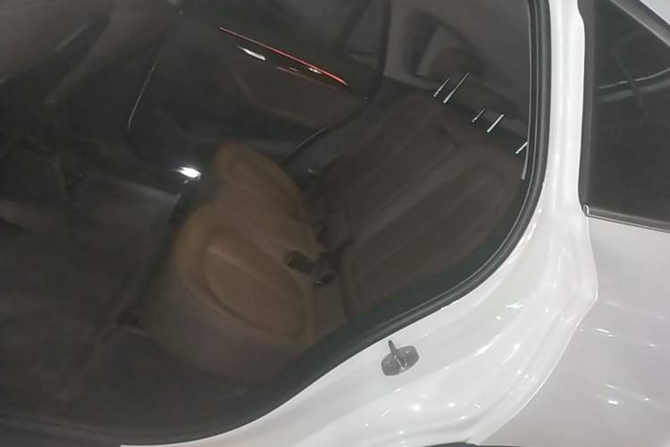 Used BMW X1 New Energy 2020 xDrive30Le Premium Edition Left Rear Seat
