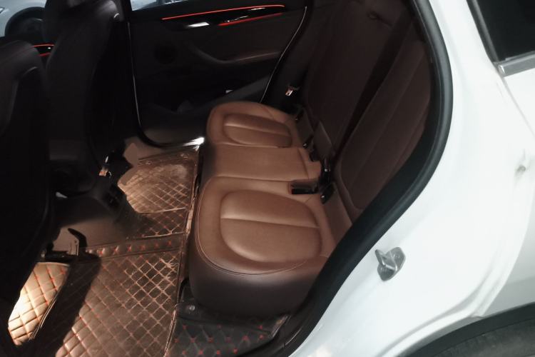 Used BMW X1 New Energy 2020 xDrive30Le Premium Edition Left Rear Seat