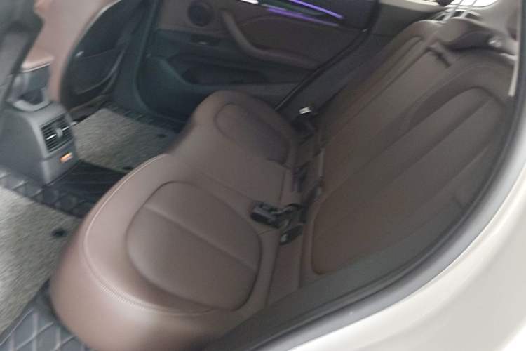 Used BMW X1 New Energy 2020 xDrive30Le Premium Edition Left Rear Seat