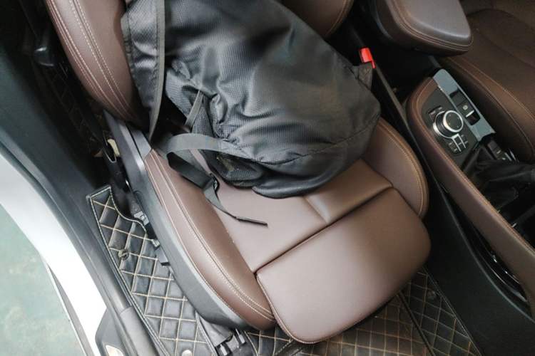 Used BMW X1 New Energy 2020 xDrive30Le Premium Edition Right Front Seat
