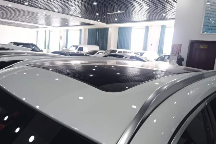 Used BMW X1 New Energy 2020 xDrive30Le Premium Edition Roof