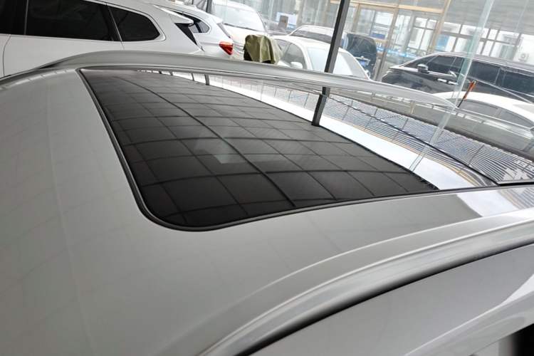 Used BMW X1 New Energy 2020 xDrive30Le Premium Edition Roof