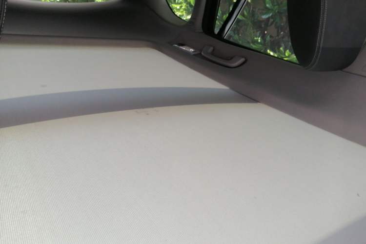 Used BMW X1 New Energy 2021 xDrive30Le Premium Edition Headliner