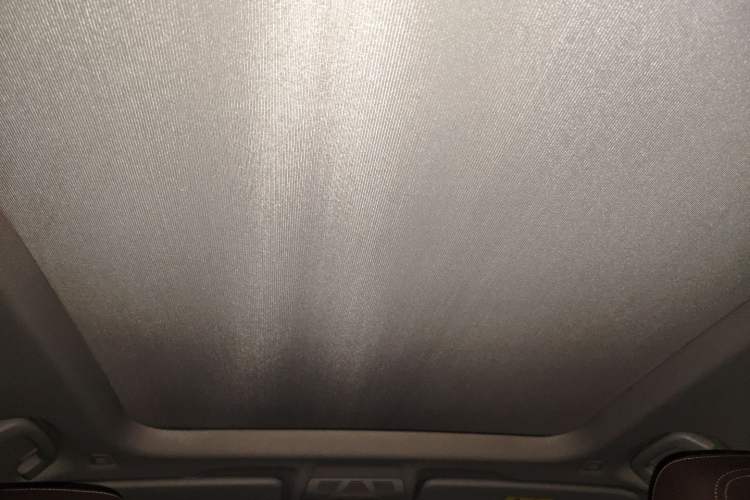 Used BMW X1 New Energy 2021 xDrive30Le Premium Edition Headliner