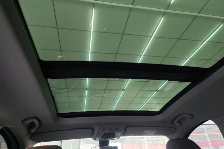 Used BMW X1 New Energy 2021 xDrive30Le Premium Edition Headliner