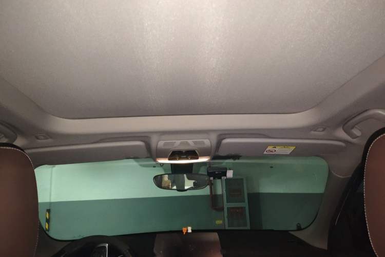 Used BMW X1 New Energy 2021 xDrive30Le Premium Edition Headliner