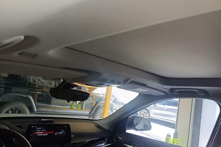 Used BMW X1 New Energy 2021 xDrive30Le Premium Edition Headliner