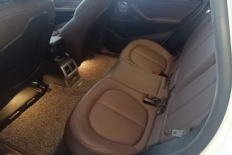 Used BMW X1 New Energy 2021 xDrive30Le Premium Edition Left Rear Seat