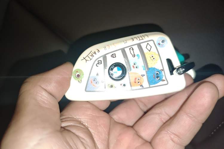 Used BMW X1 New Energy 2021 xDrive30Le Premium Edition Vehicle Key