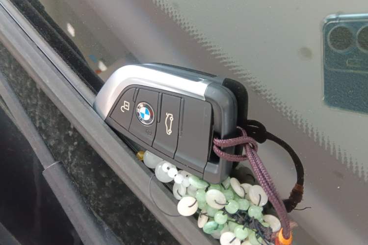 Used BMW X2 2019 sDrive20i M Sport Package China VI Emission Standard Interior 1